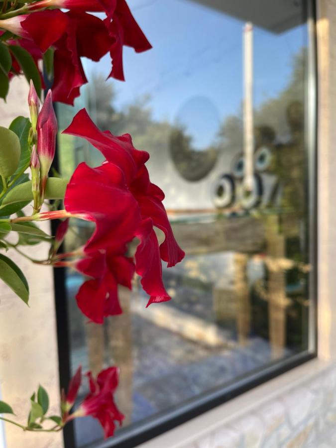 הימארה Vila Natali מראה חיצוני תמונה