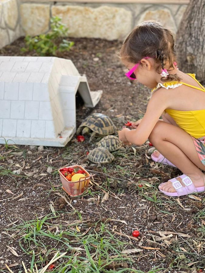 הימארה Vila Natali מראה חיצוני תמונה